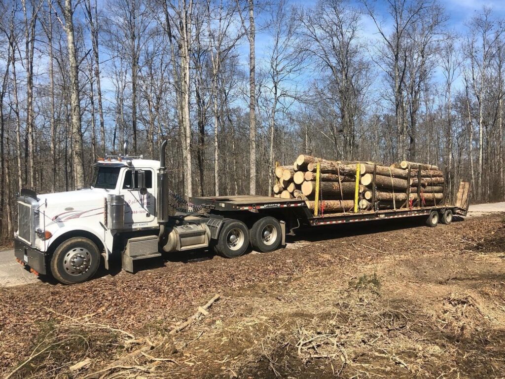 image of logs on truck for Midstate Land Clearing and Forestry Mulching LLC