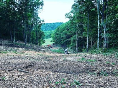 image of mulching machines amidst trees for Midstate Land Clearing and Forestry Mulching LLC